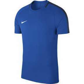 Nike Academy 18 Training Top