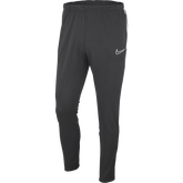 Nike Academy 19 Woven Pants