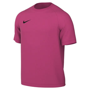 Nike Park VIII Jersey