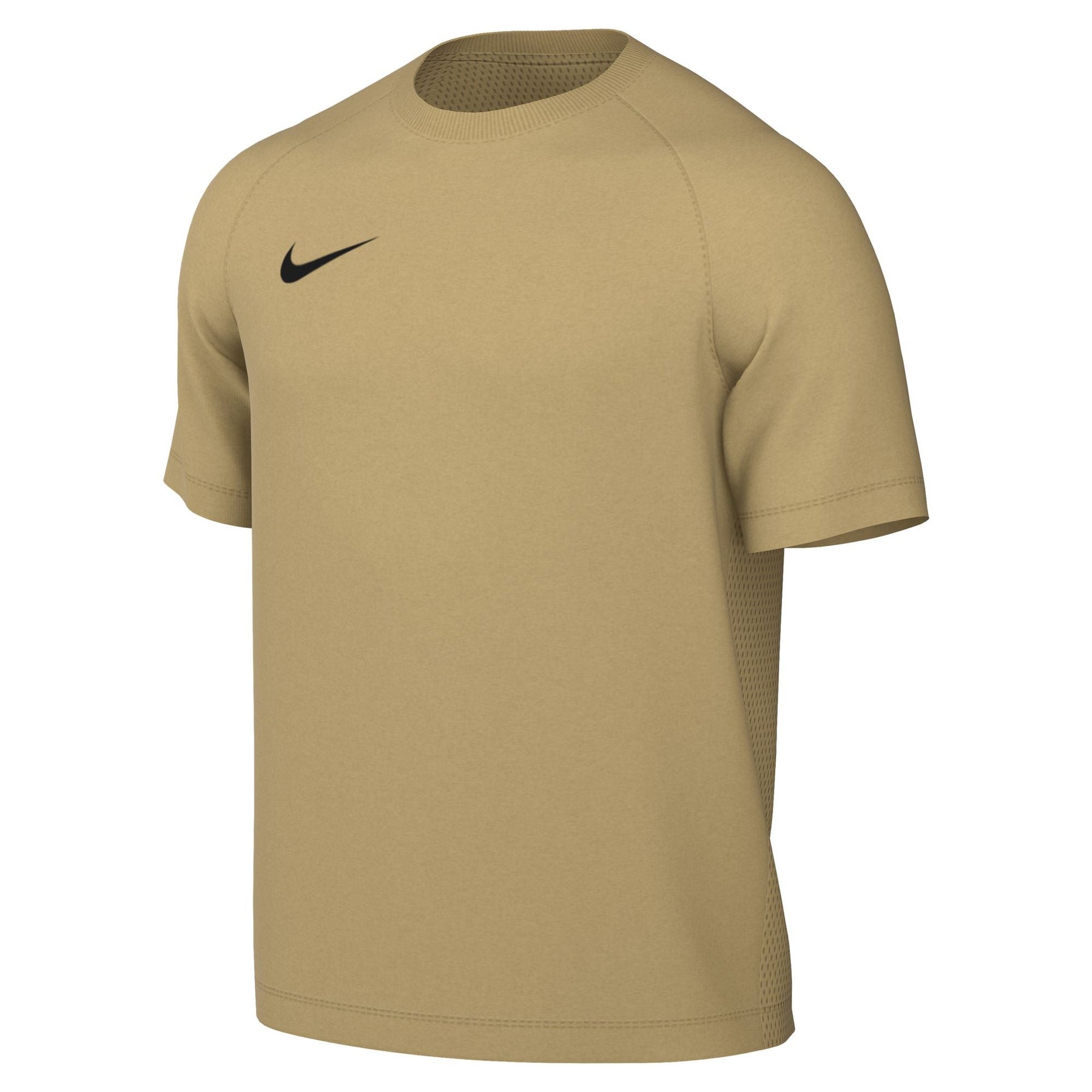 Nike Park VIII Jersey