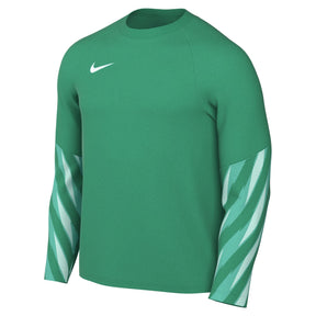 Nike Park V Jersey (Youth)