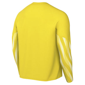 Nike Park V Jersey (Youth)