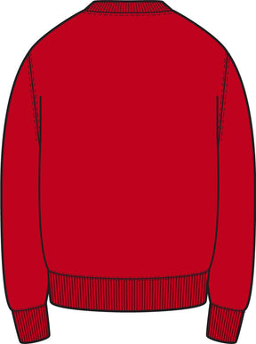 Nike Park 26 Fleece Crew (Youth)