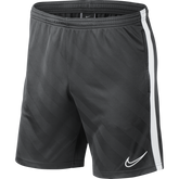 Nike Academy 19 Shorts