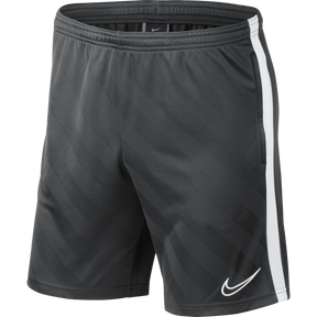 Nike Academy 19 Shorts