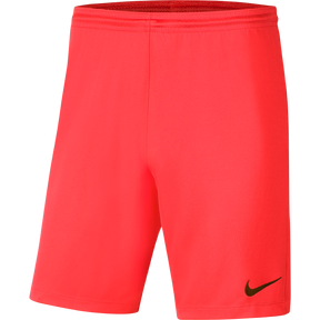 Nike Park Iii Knit Short