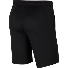 Dri-Fit Park 20 Knit Short (Youth)