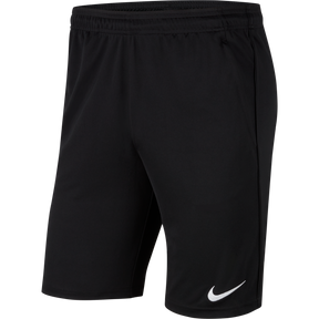 Dri-Fit Park 20 Knit Short (Youth)