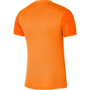 Dri-Fit Trophy V Jersey