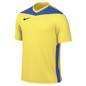 Nike Dri-FIT Park Derby IV (Youth)