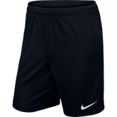 Nike Park Training Shorts