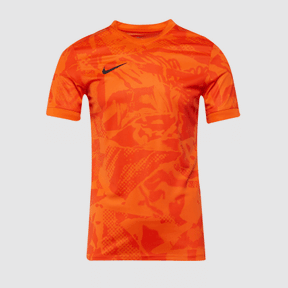 Nike Precision VII Men's Dri-FIT Jersey 2025